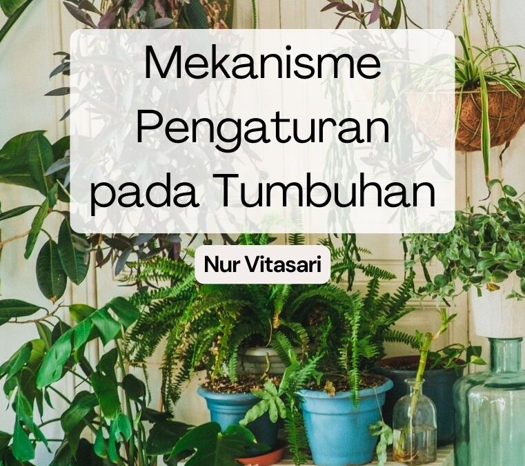 Mekanisme Pengaturan pada Tumbuhan