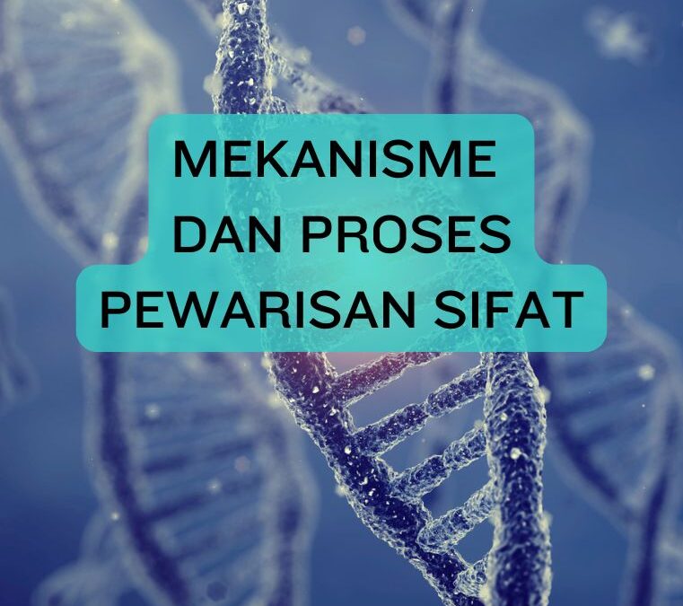 Mekanisme dan Proses Pewarisan Sifat