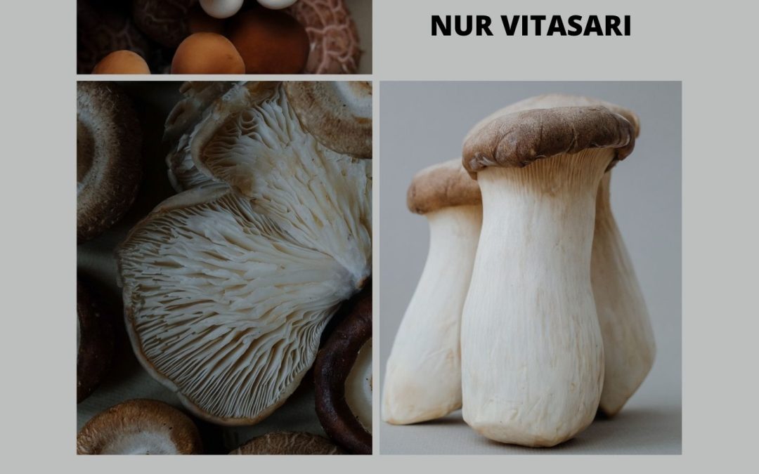 Mengenal Jenis-Jenis Jamur