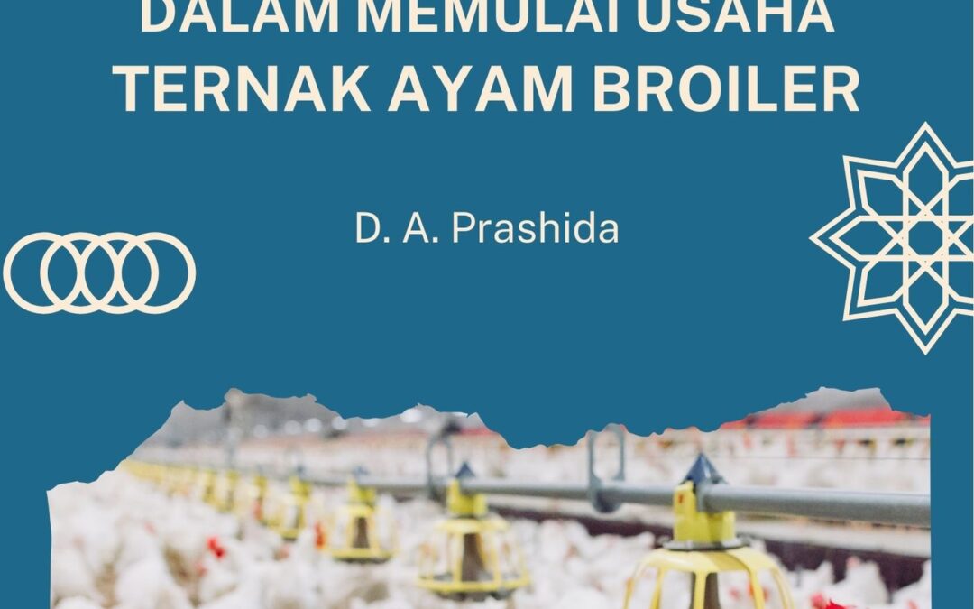 Menggali Potensi Kreatif dalam Memulai Usaha Ternak Ayam Broiler