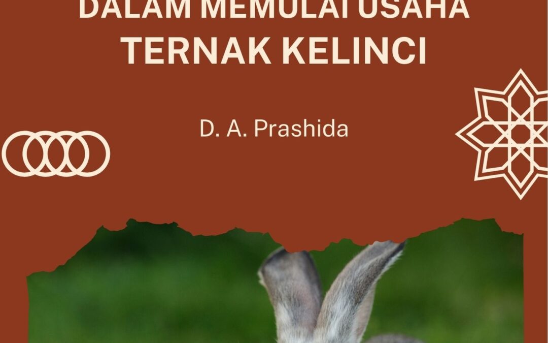Menggali Potensi Kreatif dalam Memulai Usaha Ternak Kelinci