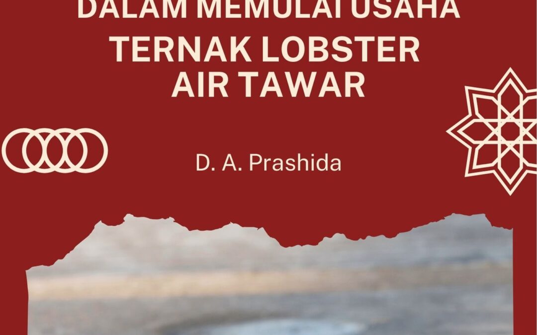 Menggali Potensi Kreatif dalam Memulai Usaha Ternak Lobster Air Tawar