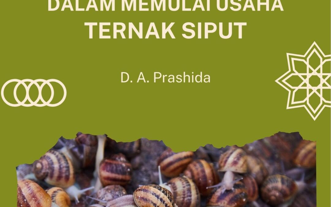 Menggali Potensi Kreatif dalam Memulai Usaha Ternak Siput