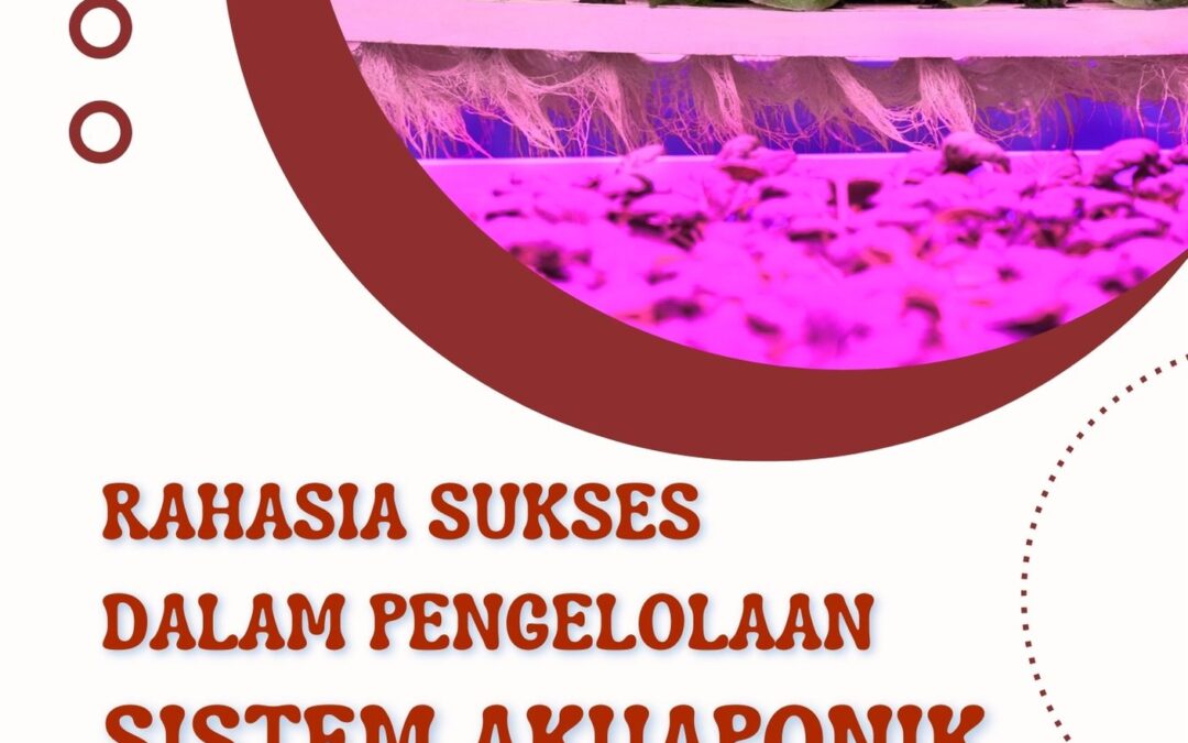 Rahasia Sukses dalam Pengelolaan Sistem Akuaponik
