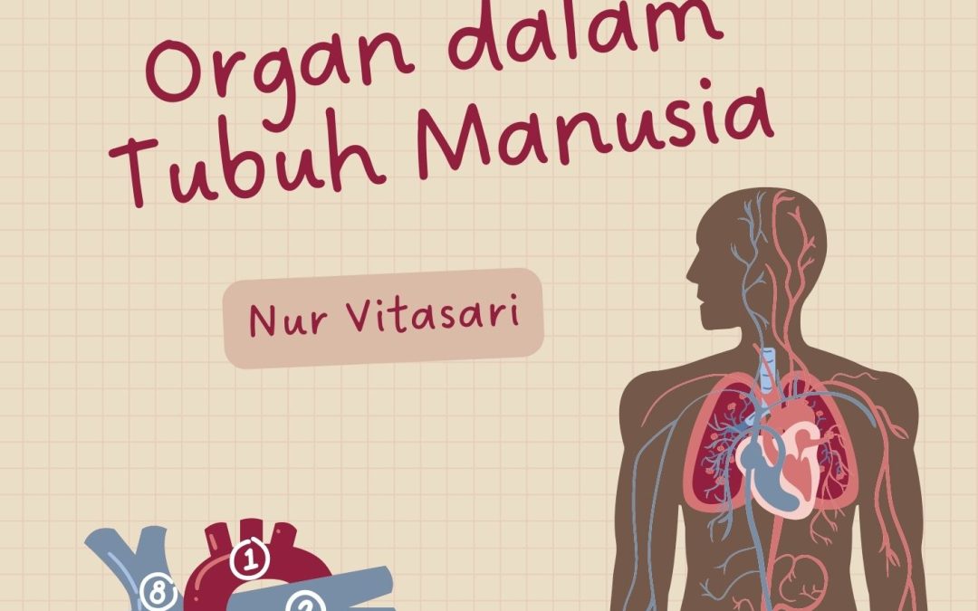 Struktur Tulang, Otot, dan Organ dalam Tubuh Manusia