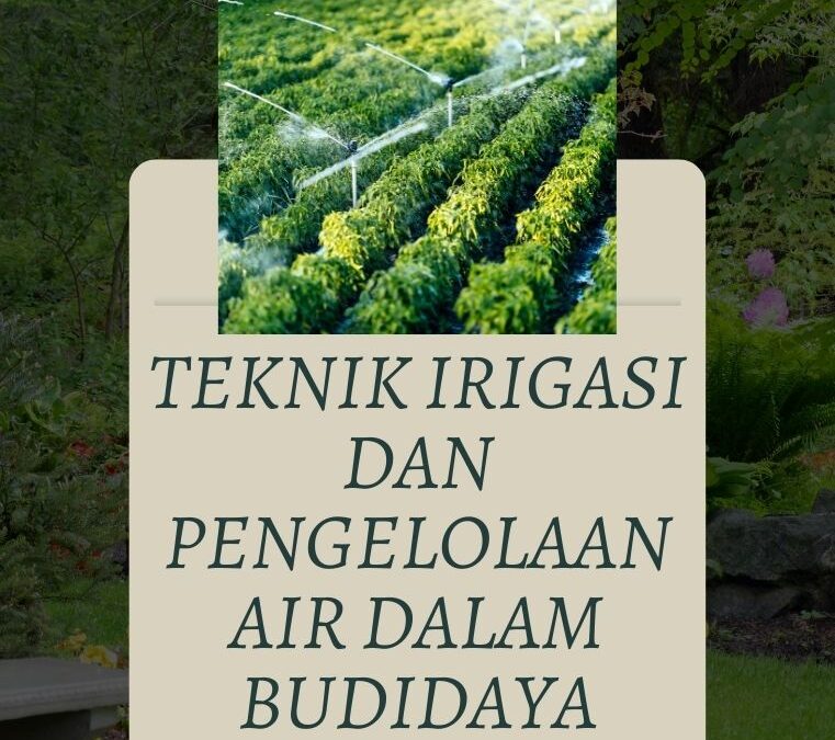 Teknik Irigasi dan Pengelolaan Air dalam Budidaya