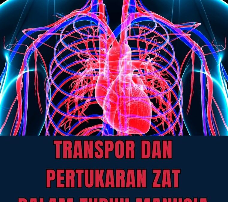 Transpor dan Pertukaran Zat dalam Tubuh Manusia