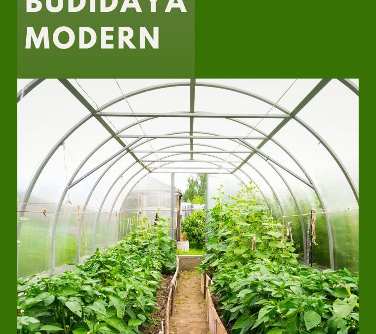 Inovasi Teknologi Informasi dalam Budidaya Modern