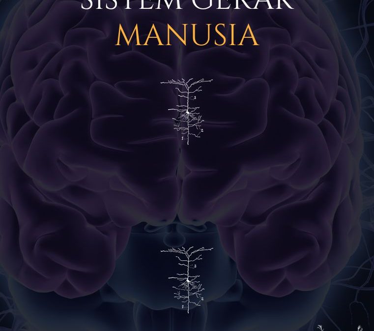 Kajian Mendalam tentang Sistem Gerak Manusia