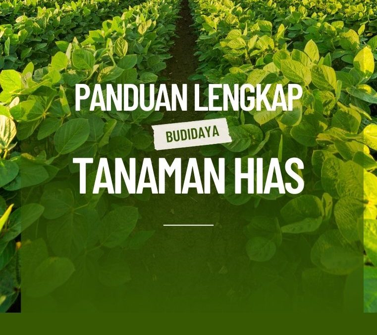 Panduan Lengkap Budidaya Tanaman Hias