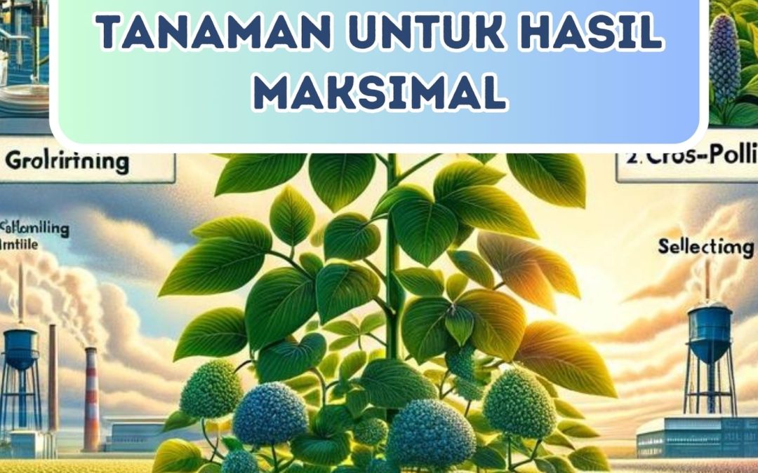 Teknik Pemuliaan Tanaman untuk Hasil Maksimal
